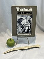 Book standing with bone knife and green apple size reference