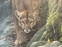Close-up of panther’s head and front paw on mossy rock