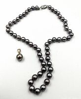 Necklace and pendant laid out on white background