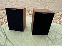 Front view of both speakers with grilles attached