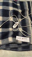 Electric heated blanket shown flat with blue and white stripes and attached wired control switch.