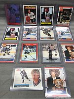 Top view of 14 Wayne Gretzky hockey cards laid out in protective sleeves showing varied designs and colors.