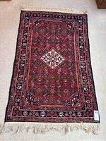 Full top view of the rug laid flat on carpet showing entire pattern and fringes