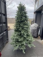 Full view of assembled 7.5 foot artificial Christmas tree outdoors showing green foliage and no decorations.