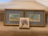 Two original landscape paintings on paper, framed in wooden frames with blue matting, placed side by side on carpeted stairs with a smaller framed floral painting in front.