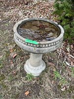 Full view of concrete birdbath standing outdoors on grass with leaves in basin