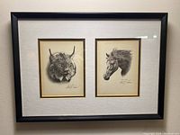 Framed artwork showing two pencil sketches: a Canadian lynx and a horse head, signed by Albert J. Casson, in a black frame with double matting.