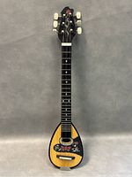 Full front view of teardrop-shaped body showing hand painted design and spruce top