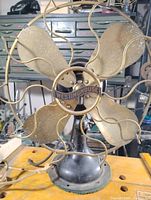 Front view showing four petal-shaped brass blades, central hub with 'WESTINGHOUSE' nameplate and decorative wire guard.