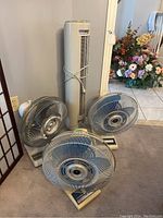 Photo showing three 17-inch table fans with metal grilles and a standing tower fan against a wall with flowers nearby