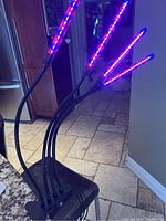 Four-arm grow light in use showing red and blue LED lights illuminated, attached clamped to a counter edge.