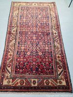 Full view of rug laid flat showing overall pattern, border and fringe