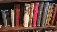 Books lined up on a wooden shelf showing binders worn with age including one red book with a torn spine and other varies in color and size.