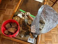Full collection of rocks and fossils displayed on a wooden table with a red bucket and mesh bag