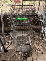 Long view of the metal wire cage live animal trap sitting upright on dirt inside a barn. Green tape label with dimensions 12x37x12 is attached to the cage top.