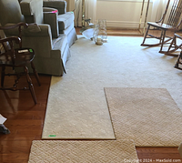 Large light beige area rug shown in a room setting under furniture, illustrating size and color.
