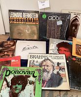 Photo showing the full view of 11 vinyl records arranged together, depicting album cover designs and titles.