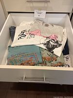 Drawer with folded men's XL t-shirts showing various colors and graphic designs including flamingo, turtle, and animal prints.