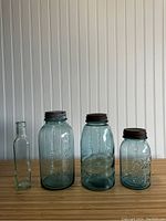 All four jars and bottle lined up showing size comparison and labels