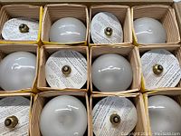 Close-up view of 12 frosted R40 incandescent flood light bulbs in individual partitions of the box, brass screw base visible on some bulbs with instruction inserts.