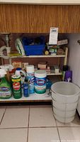 Shelf under the sink filled with assorted cleaning products such as Clorox, Comet, Lysol, plus personal care product boxes and a white plastic bucket on the floor.