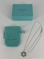 Chain, pendant, pouch and box arranged for overall lot view