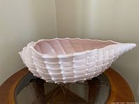 Full view of the pink shell-shaped porcelain bowl showing its size, shape and glossy finish.