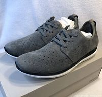 Pair of grey Kenneth Cole men's shoes in size 9, displayed on box showing side angle view with visible perforations and laces.