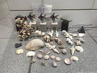 Overview of the collection showing multiple white coral pieces, various seashells, three fish figurines on stands, a small green fish figurine, heart-shaped stone and a metallic pyramid-shaped object.