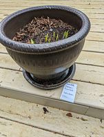 Dark green ceramic planter with decorative patterns on outside and shallow dish underneath. Soil inside with small green plant sprouts.