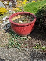 Red round outdoor planter pot placed in yard surrounded by plants and gravel