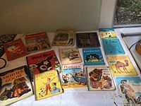 Photo showing 14 vintage children's books spread on a surface including titles: Walt Disney Donald Duck, Mother Goose, Popeye, Counting Rhymes, The Three Bears, and others.