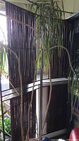 Three-panel folding room divider with metal frame and stained bamboo slats, pictured with plants around it.