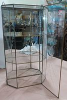Photo showing the small glass display cabinet with etched floral pattern on door, metal frame, and glass shelves inside.