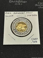Photo of the front side of the coin showing the gold plated polar bear design with text '2000 Knowledge Knowledge La Savoir Canada'. Silver composition stated as .925.