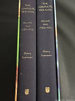 Spines of the two hardcover books showing titles and author Gary Larson.