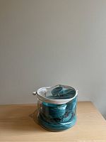 Stacked green plastic picnic set inside the transparent zippered carrying case.