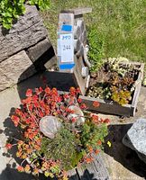 Two small succulent gardens, one in a wood box with flower design and assorted succulents, the other in a round plastic pot with red-orange succulents and stones, taken outdoors on stone and wood surfaces.