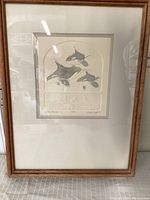Pressed paper framed artwork featuring orcas, titled Orca Passage by Nora Fiochen, numbered 31/399