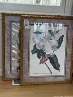 Photo of two framed prints leaning against a window, one featuring magnolia botanical illustration, both in matching ornate gold frames.