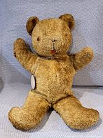 Antique German teddy bear sitting upright showing textured golden brown fur, stitched face details, and attached circular tag.
