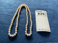 Necklace laid out with lot tag showing number