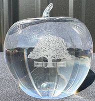 Front view of clear glass apple paperweight with tree etching inside and a background reflection.