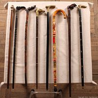 Full view of 8 assorted wooden canes with various handles including carved animals and brass details.