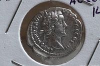 Obverse side in 2x2 cardboard holder showing right-facing bust of Antoninus Pius with surrounding inscription