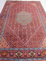 Full view of rug laid flat to show overall design, color and size