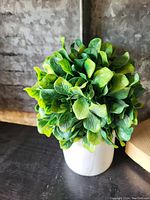 Image of a small artificial green plant with round leaves in a white ceramic pot against a metallic background.