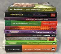 Stack of 10 chess books showing spines and titles