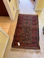 Full view of rug on carpeted floor showing overall pattern and fringe