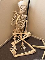 The full size skeleton seated with its right arm missing, left arm positioned in lap, and legs crossed on the floor.